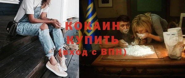 ПСИЛОЦИБИНОВЫЕ ГРИБЫ Козловка