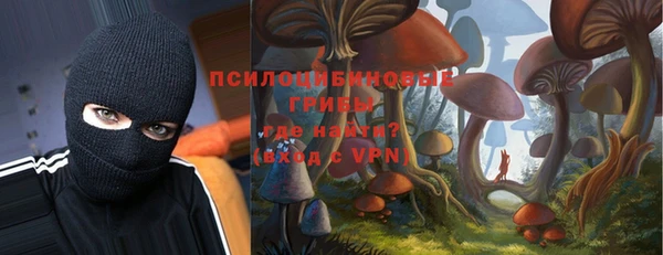 твердый Костерёво