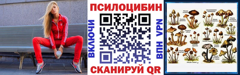 Псилоцибиновые грибы мицелий Котовск